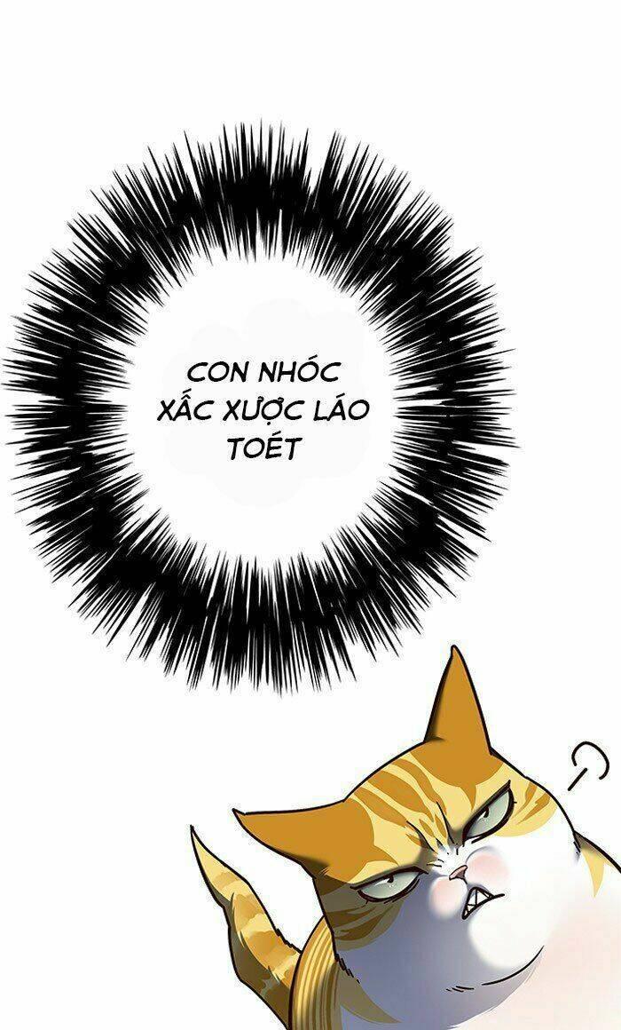 biến thân thành mèo chapter 80 87