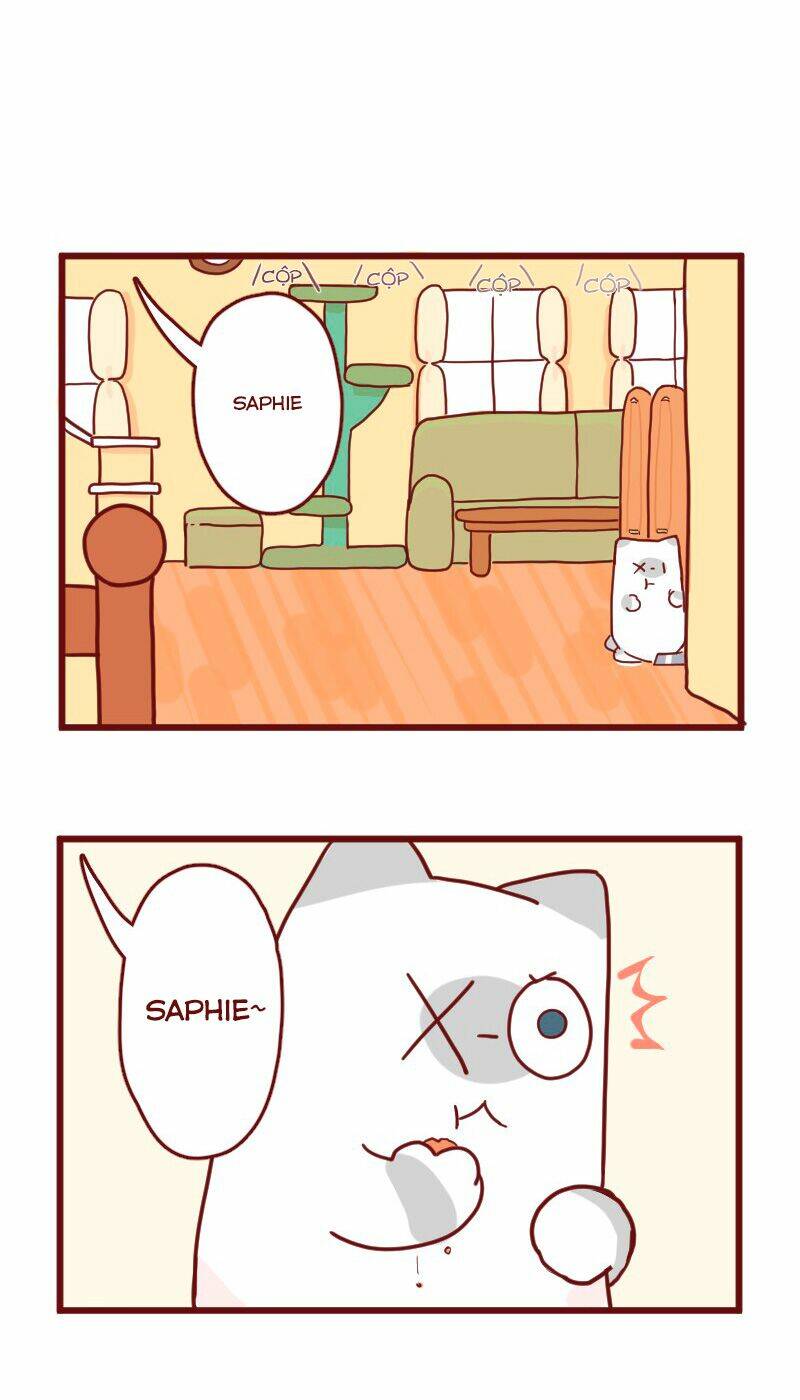 saphie: chú mèo một mắt chapter 13 3