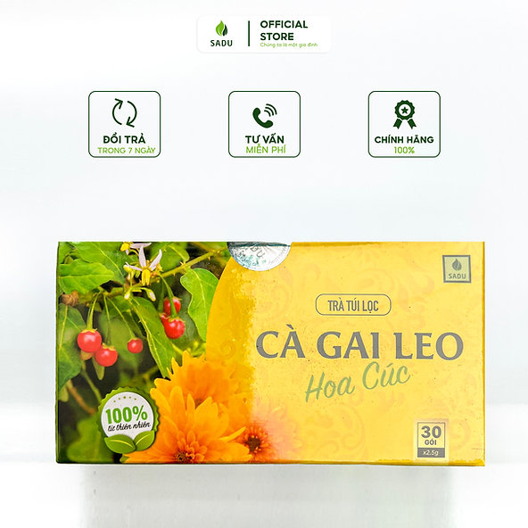 Trà cà gai leo hoa cúc hộp 75g combo 3 hộp tặng 1