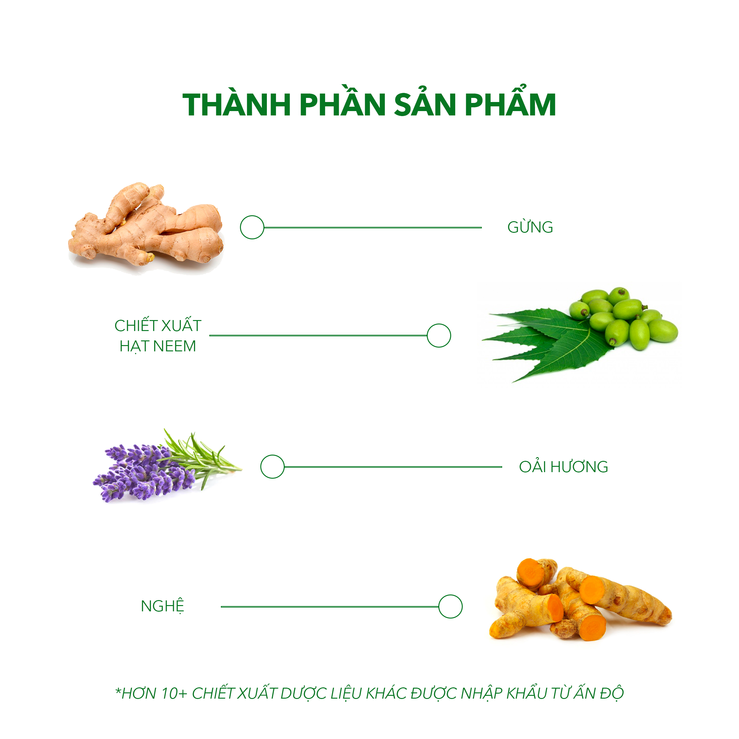 Combo Phục Hồi Tóc Hư Tổn, Ngăn Ngừa Rụng Tóc - Bộ Đôi Chăm Sóc Hoàn Hảo Dermato 200 & Antisol | Thương Hiệu iCare Pharma