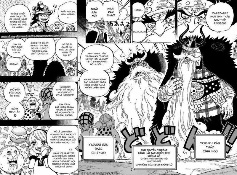 đảo hải tặc - one piece chapter 866 11