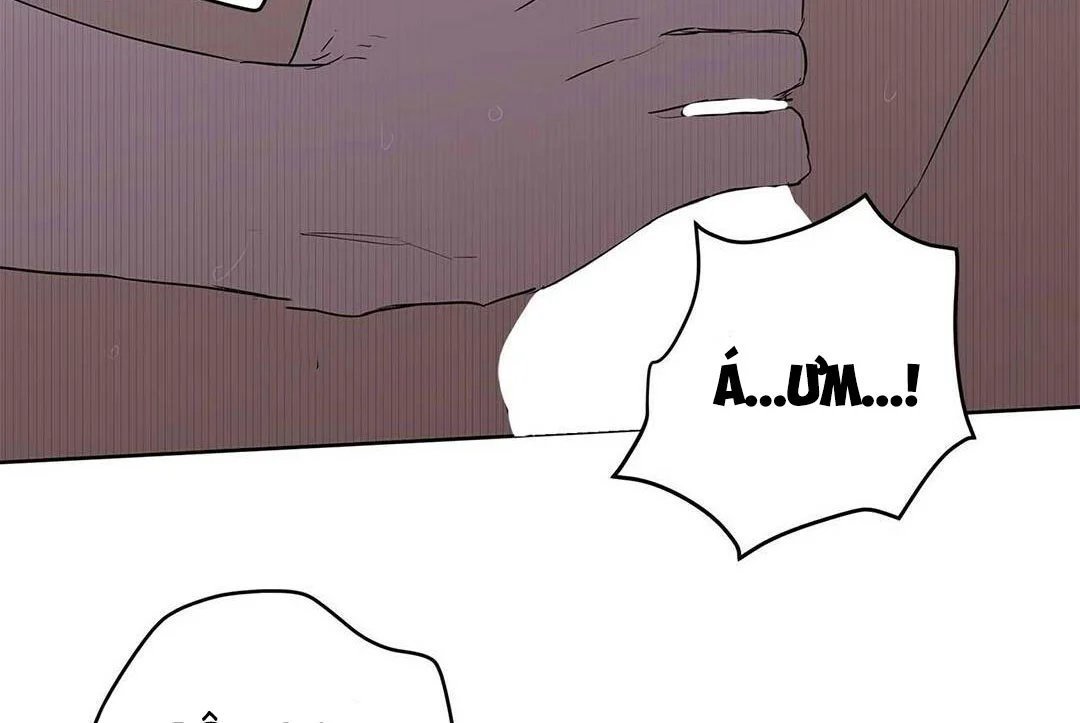 guide cấp b chapter 21 116