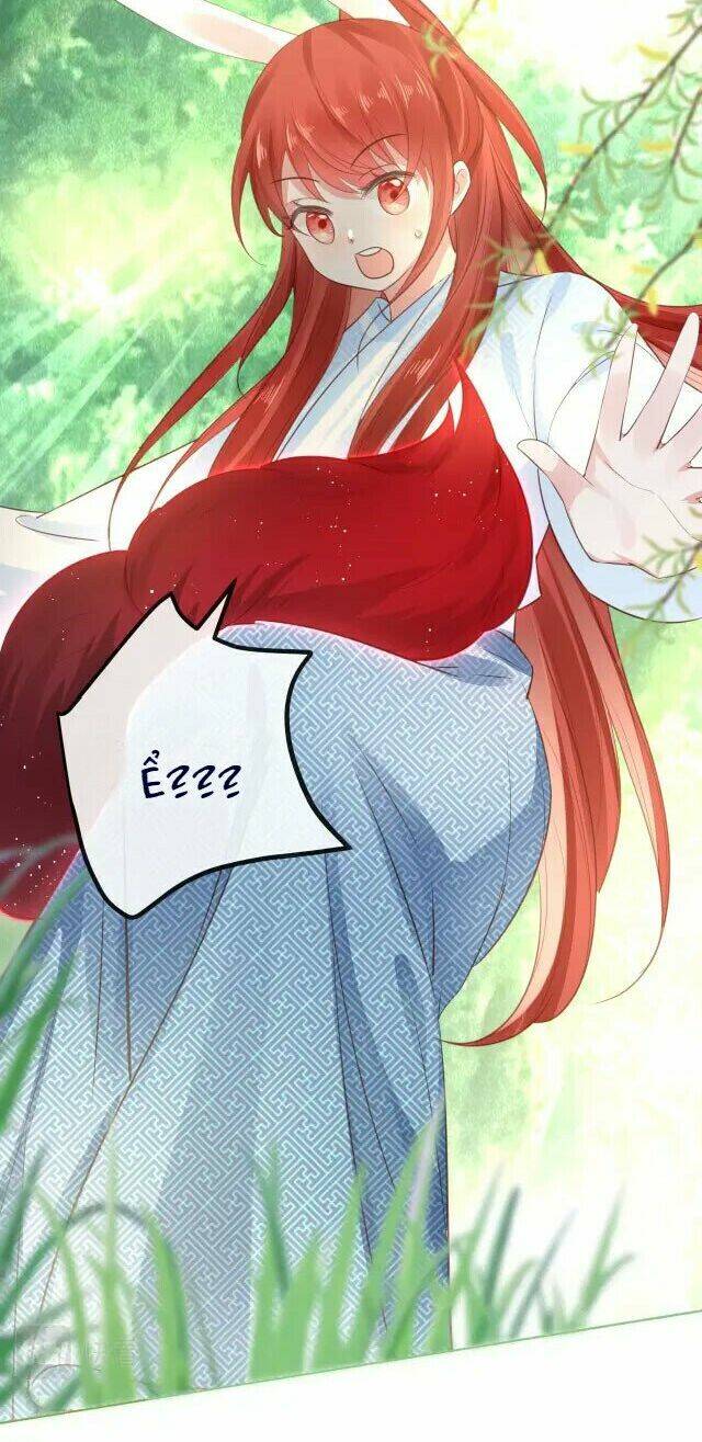 hắc hóa nam chính trực tuyến nuôi thỏ chapter 23 28