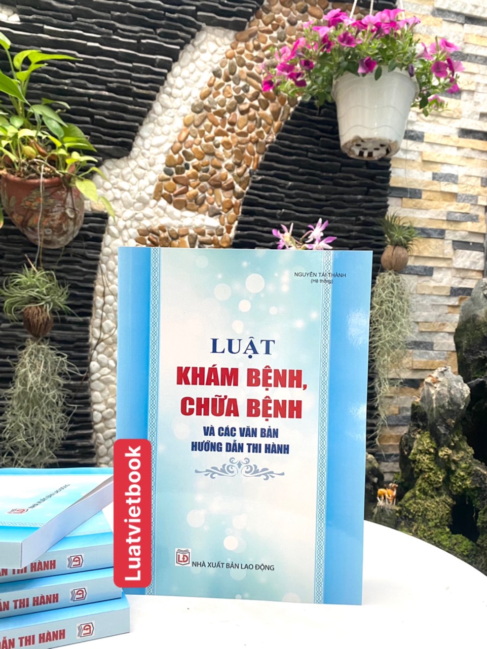 Luật Khám Bệnh, Chữa Bệnh Và Các Văn Bản Hướng Dẫn Thi Hành