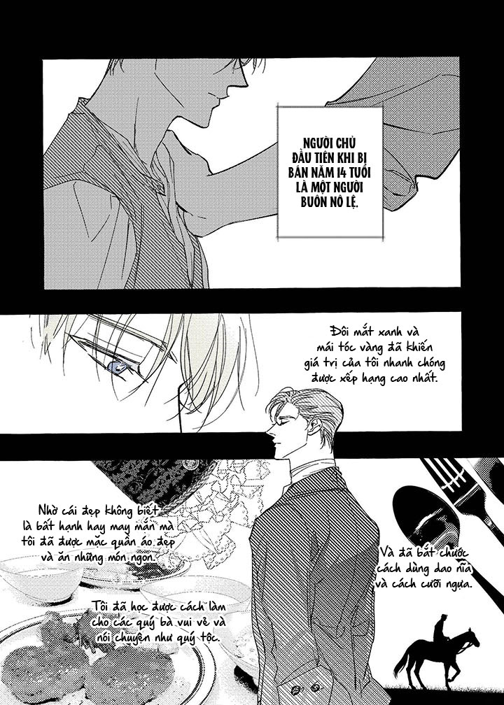 perle chapter 5 1