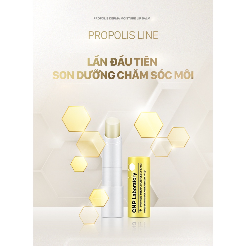 Son dưỡng mềm môi dưỡng ẩm keo ong CNP Laboratory Propolis Derma Moisture Lip Balm 4g