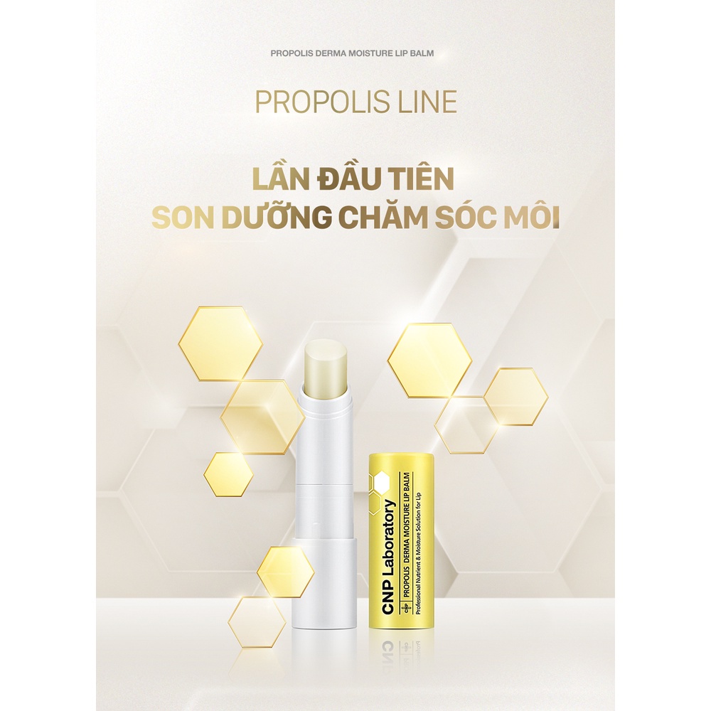 Son dưỡng mềm môi dưỡng ẩm keo ong CNP Laboratory Propolis Derma Moisture Lip Balm 4g