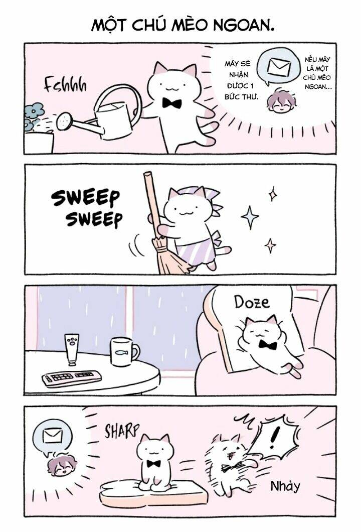 chú mèo kỳ diệu kyuu-chan chapter 669 3