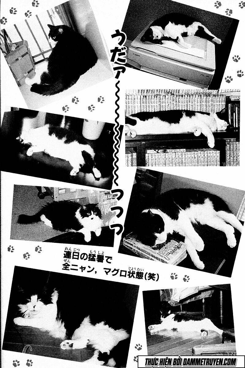 shin kotaro makaritoru! juudouhen chapter 205 14