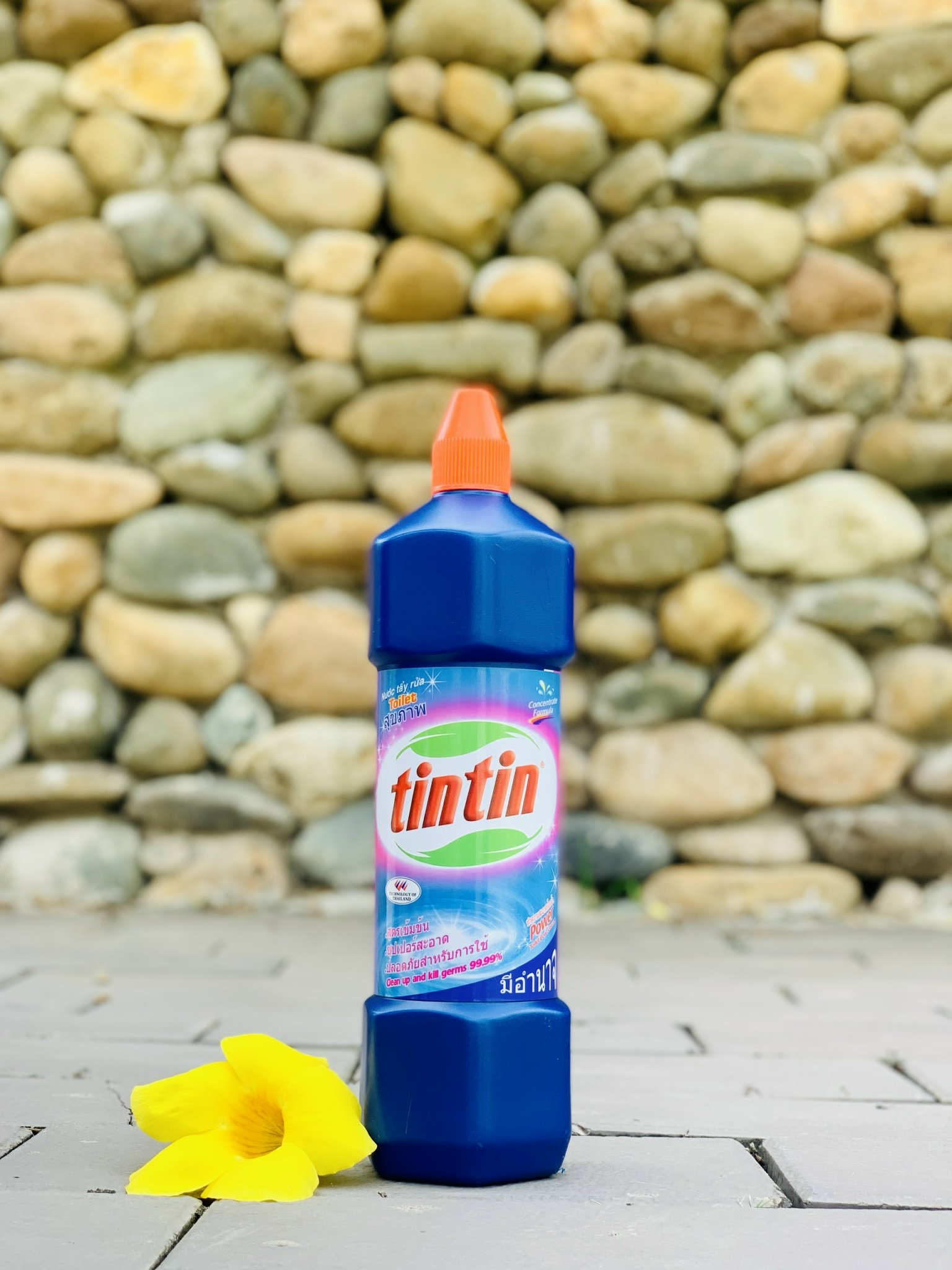 Tẩy toilet 969ml tintin