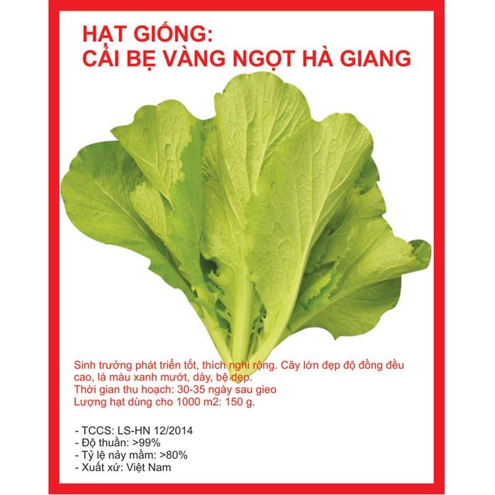Hạt giống rau cải canh lá vàng cao sản KNS3405 - gói 10gram