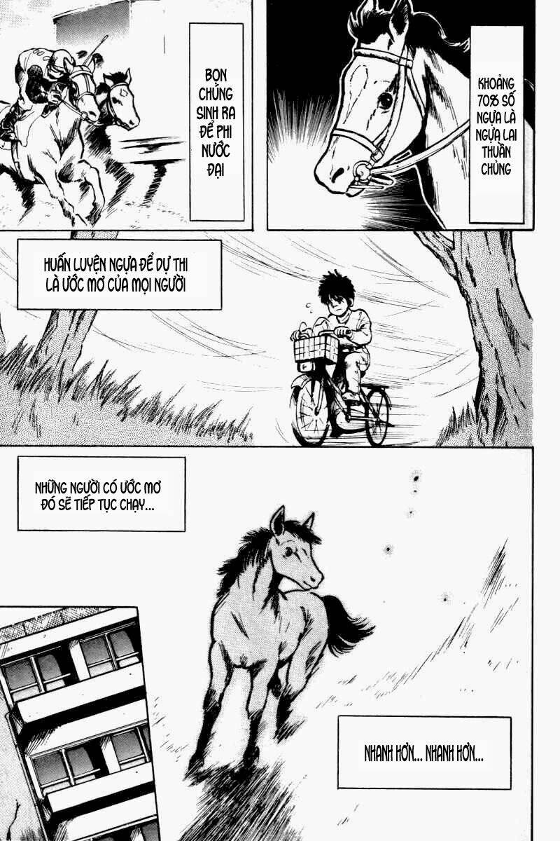 kaze no sylphid - phong mã silphid chapter 1 11