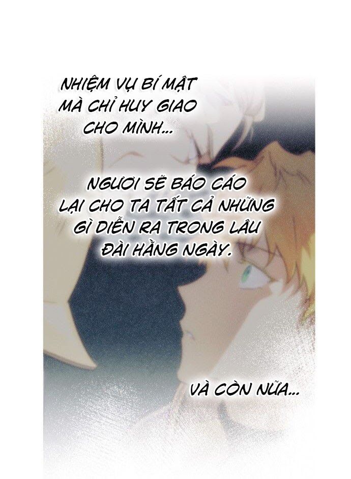 bị che khuất bởi ánh hoàng hôn chapter 14 44