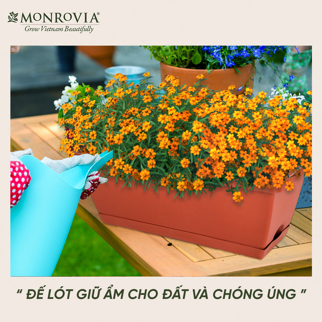 Combo chậu nhựa trồng cây chữ nhật kèm giỏ treo hoa ban công Monrovia, chậu trồng rau, khay trồng rau, trồng hoa