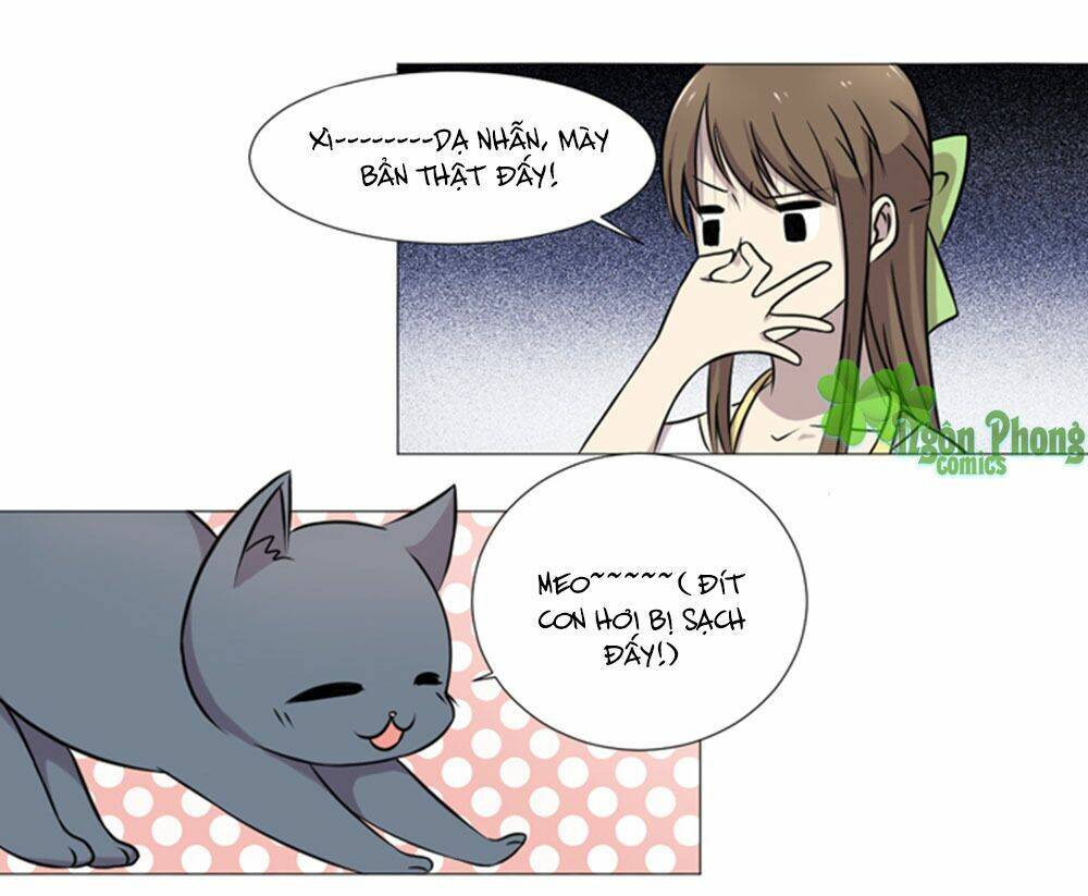 hai chú mèo totem chapter 36 19