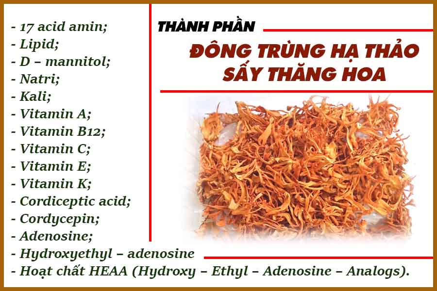 Đông trùng hạ thảo mật ong rừng Phúc Khang 300g - Hũ thủy tinh cao cấp - Công nghệ sấy thăng hoa - Chống lão hóa ,phòng ngừa ung thư ,tim mạch ,bồi bổ cơ thể ...làm quà biếu , quà tặng , bảo vệ sức khỏe