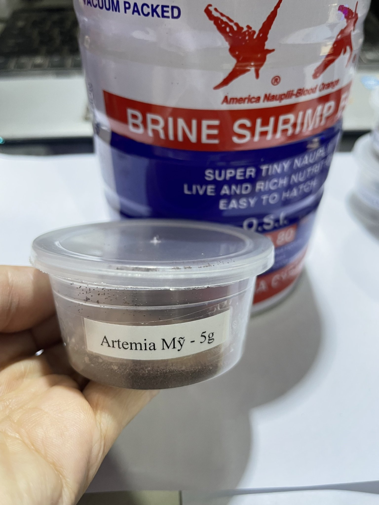 Artemia Mỹ ấp nở cho cá bột,cua,tôm tép kiểng ăn phát triển -hủ 5g