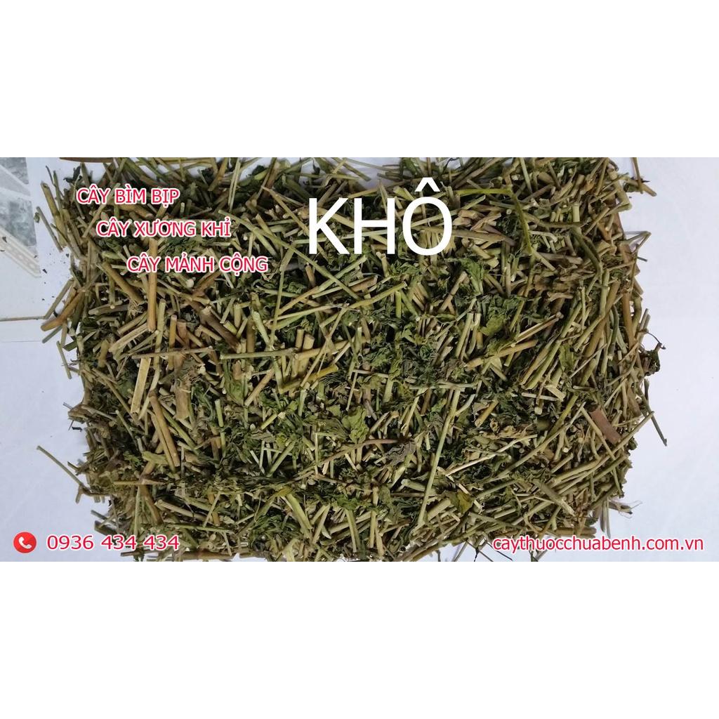 Thảo dược CÂY BÌM BỊP khô sạch loại 1 - congtyduoclieuhonglan