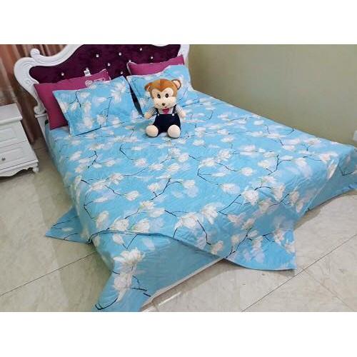 BỘ CHĂN GA GỐI PHỦ TRẦN BÔNG COTTON POLY NHIỀU MÀU