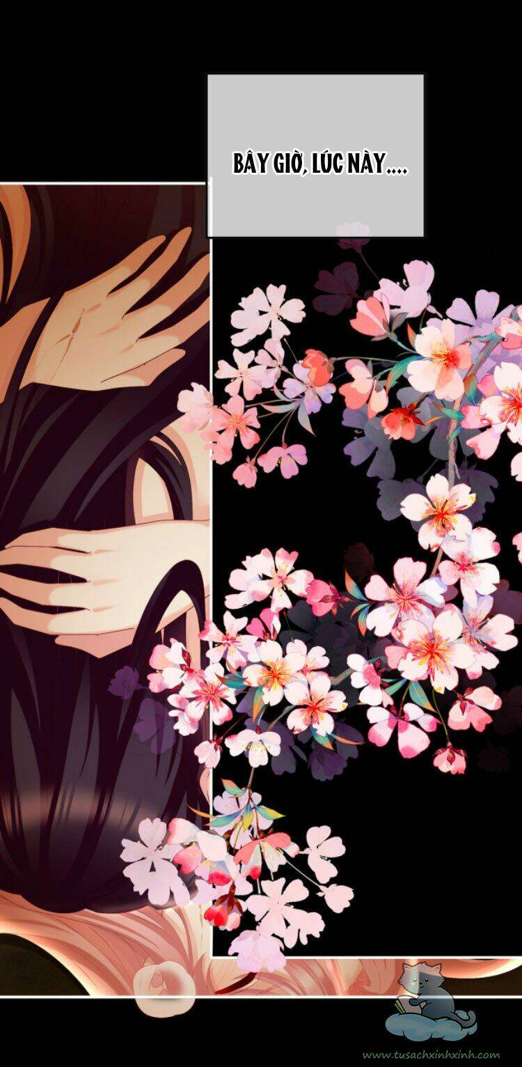 kiều phu có hỉ chapter 39 29