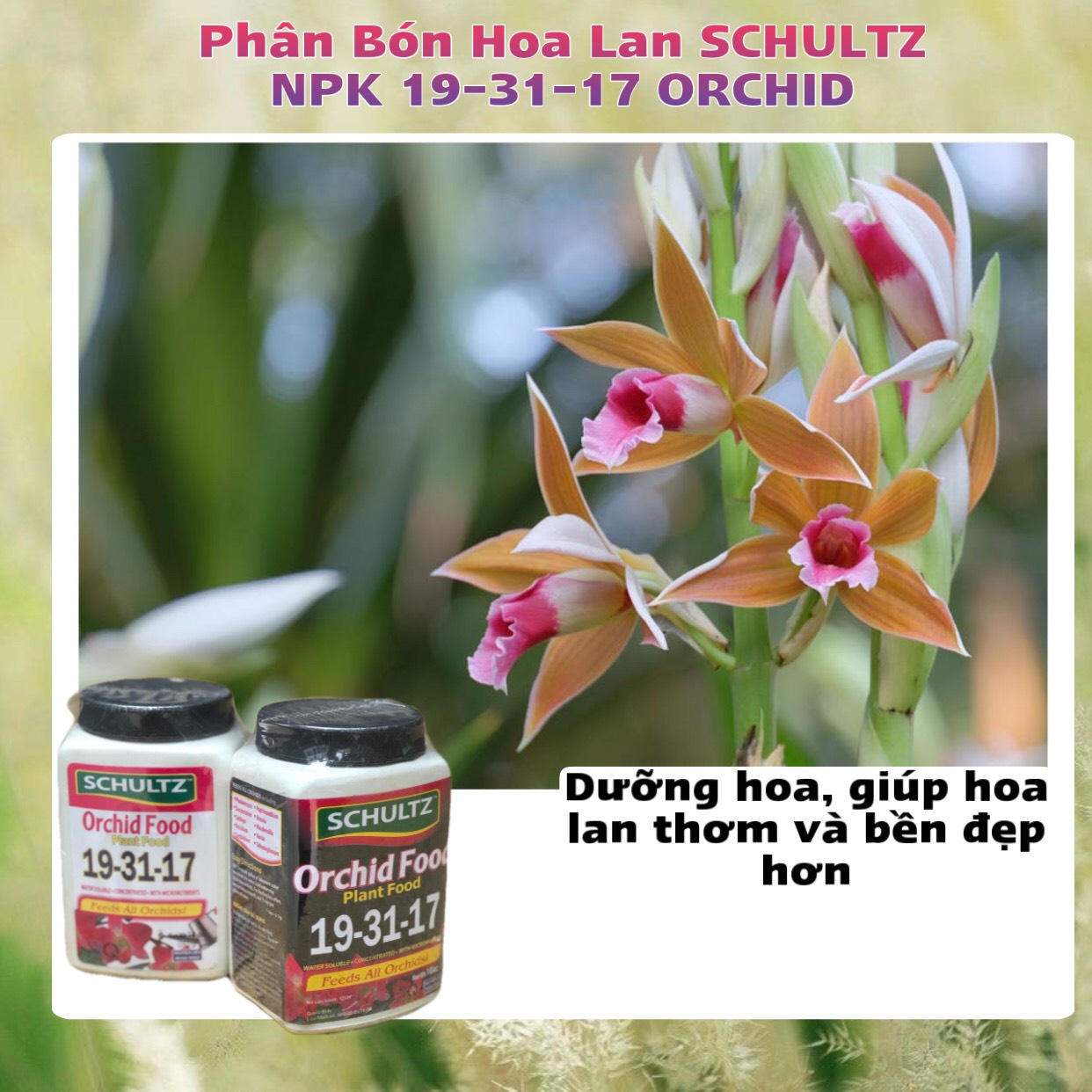 Phân Bón Hoa Lan SCHULTZ NPK 19-31-17 ORCHID Hũ 283g