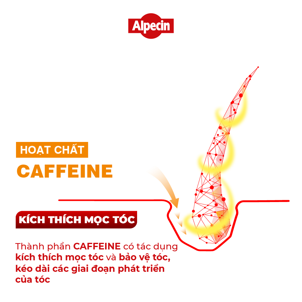 Dưỡng chất Caffeine Alpecin Liquid 200ml, ngăn rụng tóc và kích thích tóc mọc chắc khỏe, cho nam