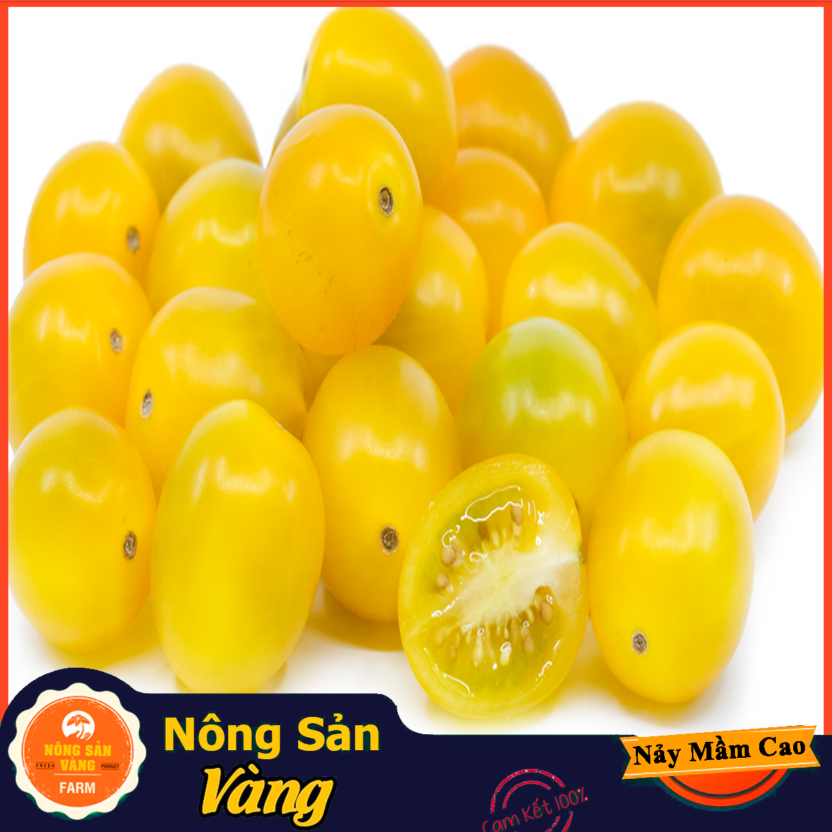Hạt giống Cà Chua Bi Vàng Lùn - Nông Sản Vàng