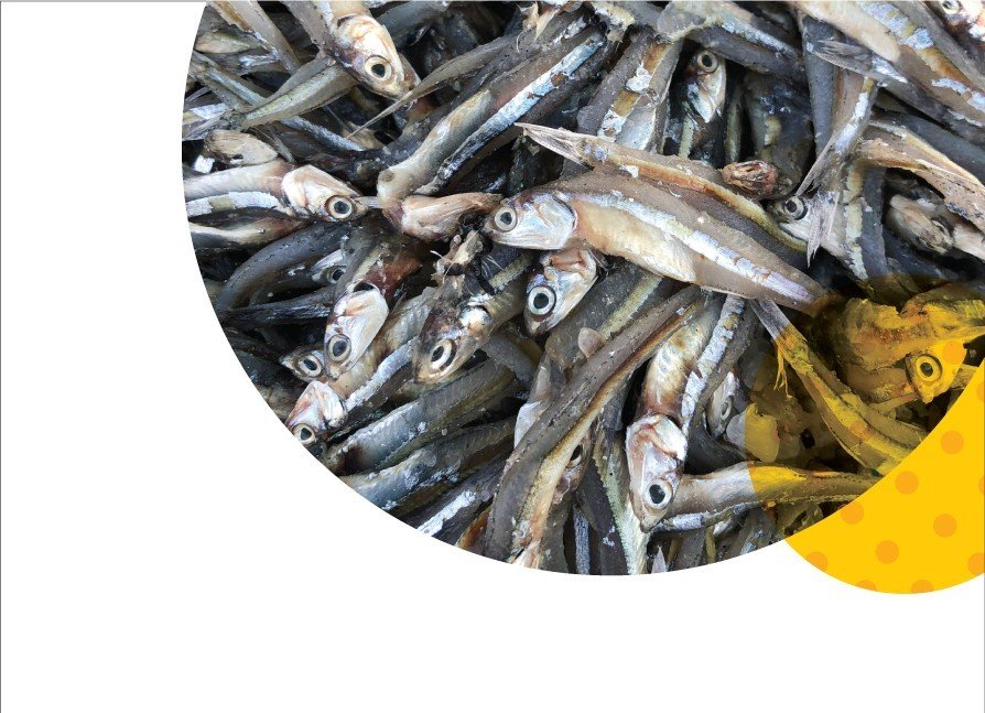 Hộp 6 Chai Nước Mắm Cốt Phú Quốc - Quốc Vị Độ Đạm 40N Chai Thủy Tinh 60ml Cá Cơm