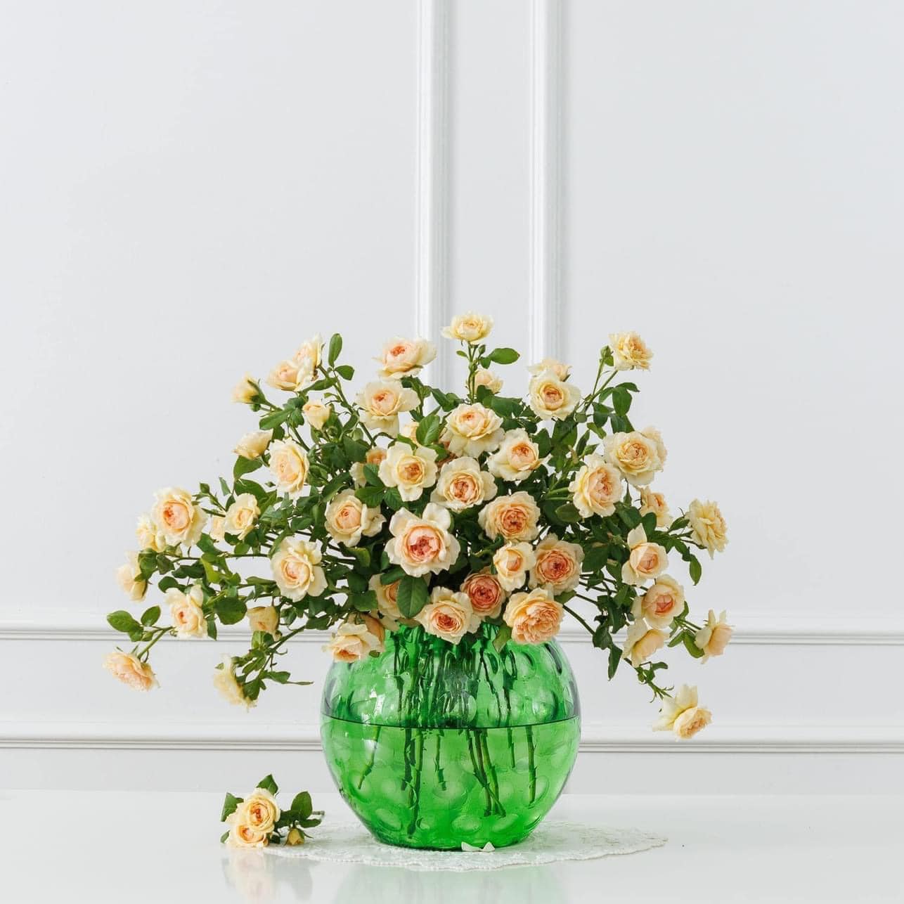 Lọ hoa Bohemia Optika (Trắng, hồng, khói, tím, xanh lá cây, xanh nước biển, xanh đậm, vàng)