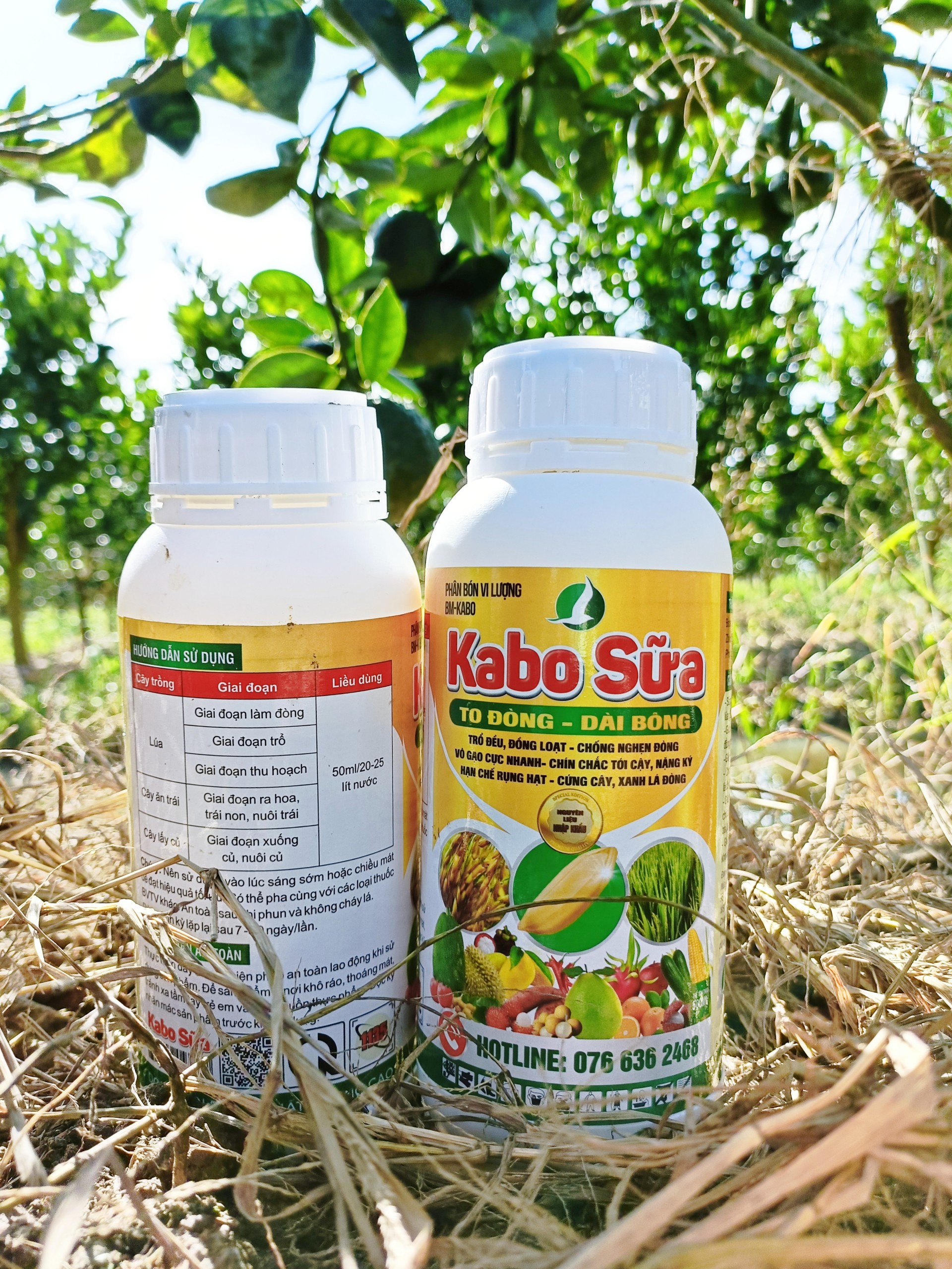 Phân bón lá KABO SỮA - SIÊU TO ĐÒNG, DÀI BÔNG