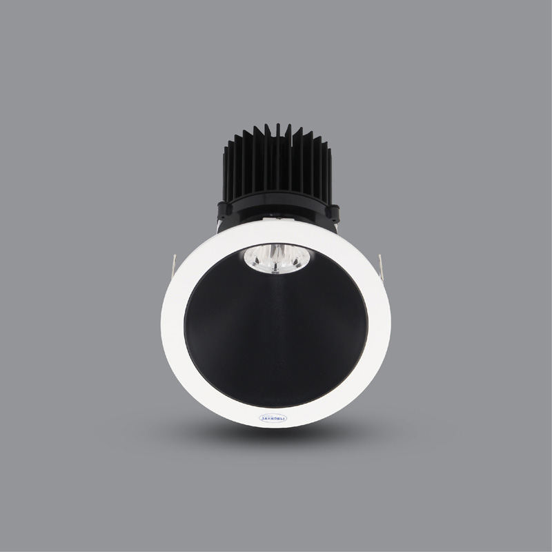 ĐÈN LED DOWNLIGHT CHIẾU TRANH 20W ÂM TRẦN PRDZZ157L20