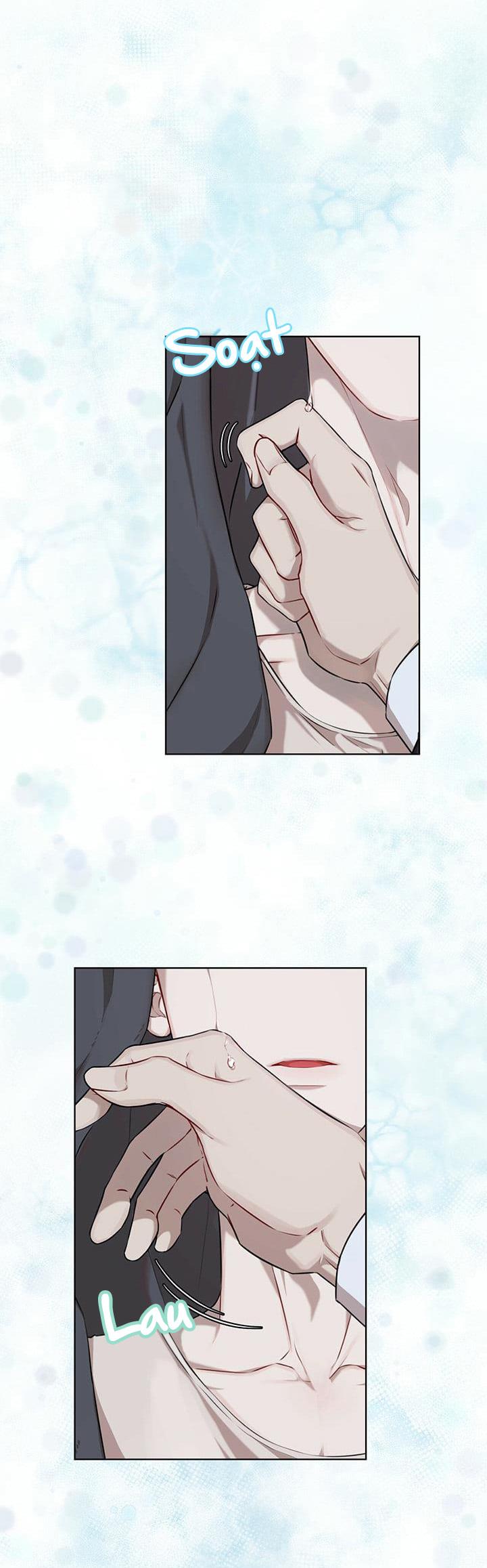 hình thái khởi sinh chapter 20.5 15