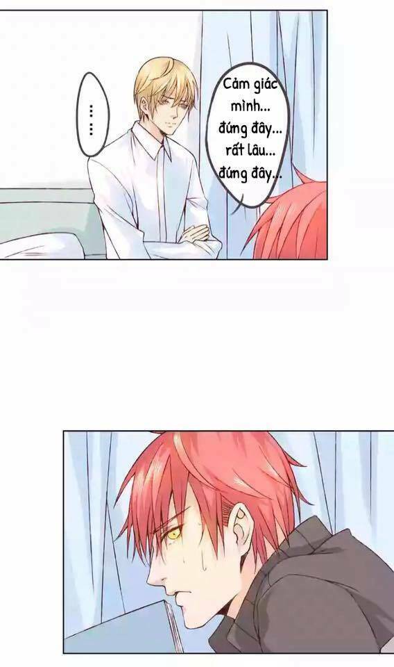 tôi không phải đa nhân cách chapter 21 24