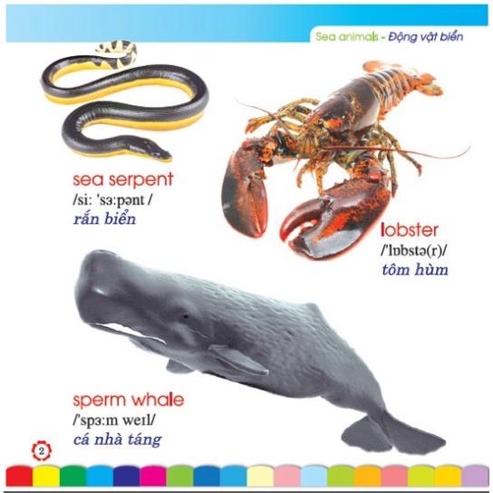 SÁCH - Em Học Tiếng Anh Qua Hình Ảnh - Động vật biển