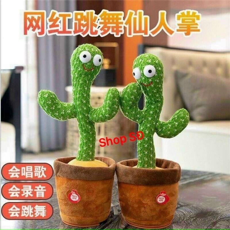 Chậu Xương Rồng biết nói và nhảy múa theo nhạc