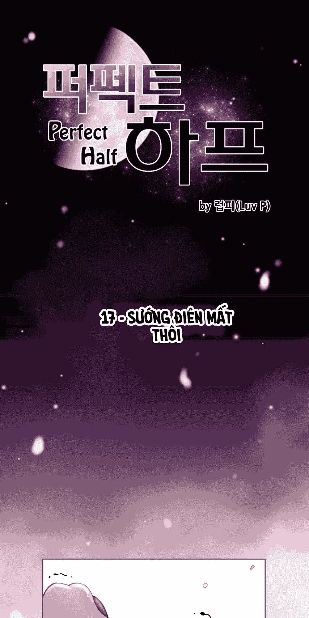 một nửa hoàn hảo chapter 17 10