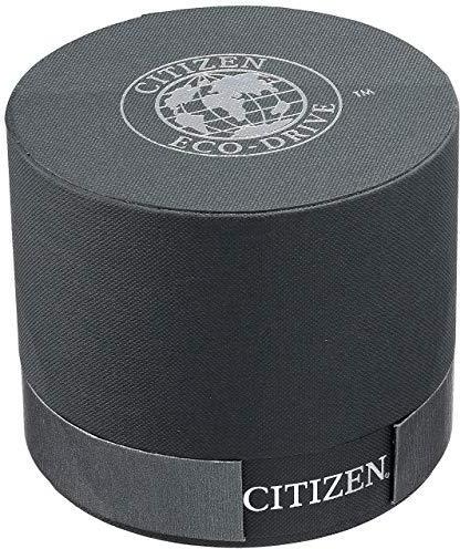 Đồng hồ nam Citizen CA0295-58E