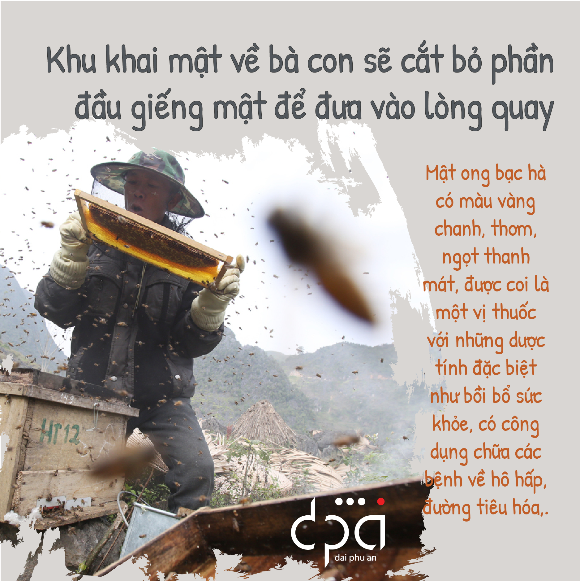 Mật ong hoa bạc hạ vị ngọt thanh Cao Nguyên đá Hà Giang, nguyên chất 100%, không đóng đường, không bảo quản