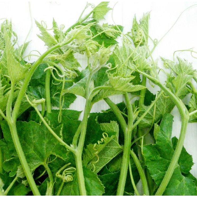 Hạt giống bí ăn ngọn,siêu ngọn-gói 5 gram-tặng kèm gói phân bón lót