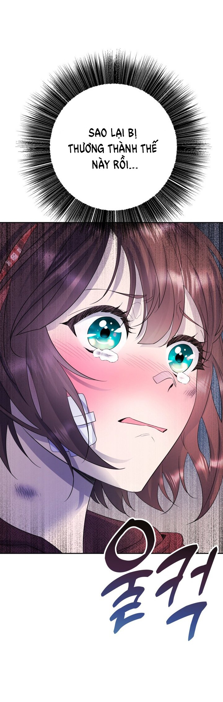 [18+] nếu cứu rỗi một cầm thú hư hỏng chapter 9.2 11