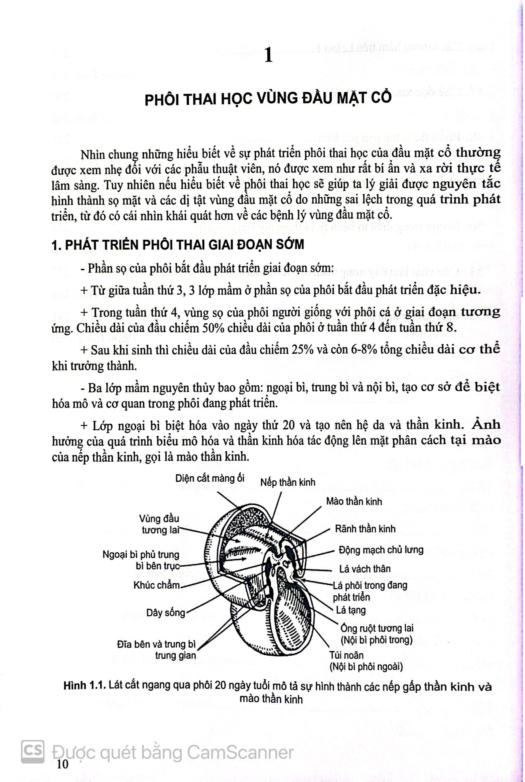 Benito - Sách - Các vấn đề cơ bản trong phẫu thuật tạo hình thẩm mỹ (Phần 3: đầu mặt cổ) 2023 - NXB Y học