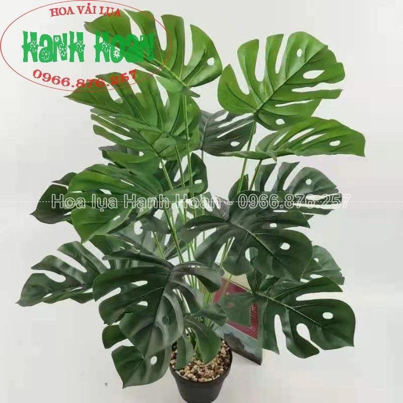 CÂY 18 LÁ CÁC LOẠI (MONSTERA, CHUỐI, LÁ MÔN,..) CAO 80CM- CÂY GIẢ DERCOR