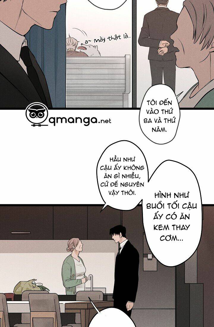 trốn tìm chapter 1 28