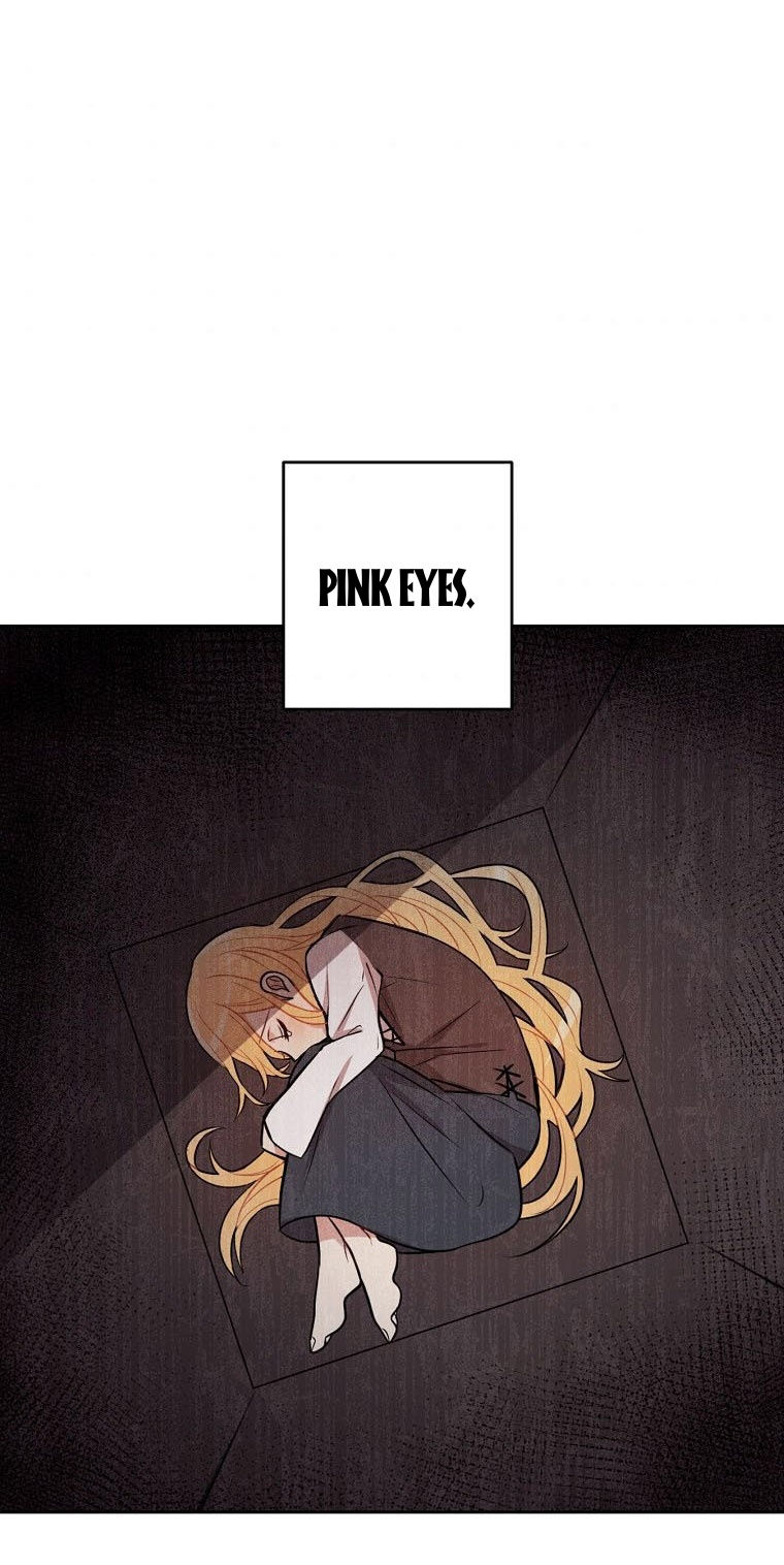 tôi là tiểu thư của gia đình này chapter 133 64