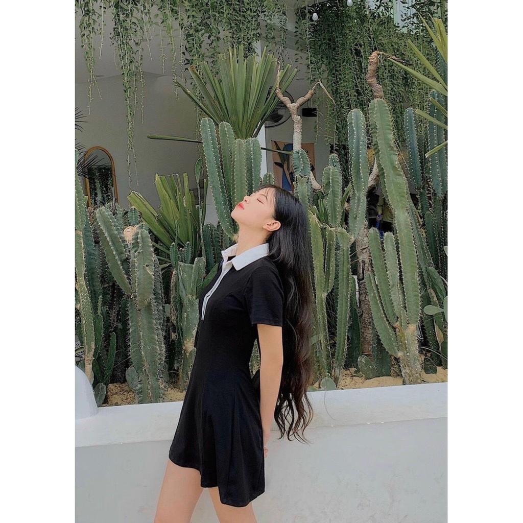 Đầm thun đen cổ bẻ trắng chất liệu thun cotton co giãn
