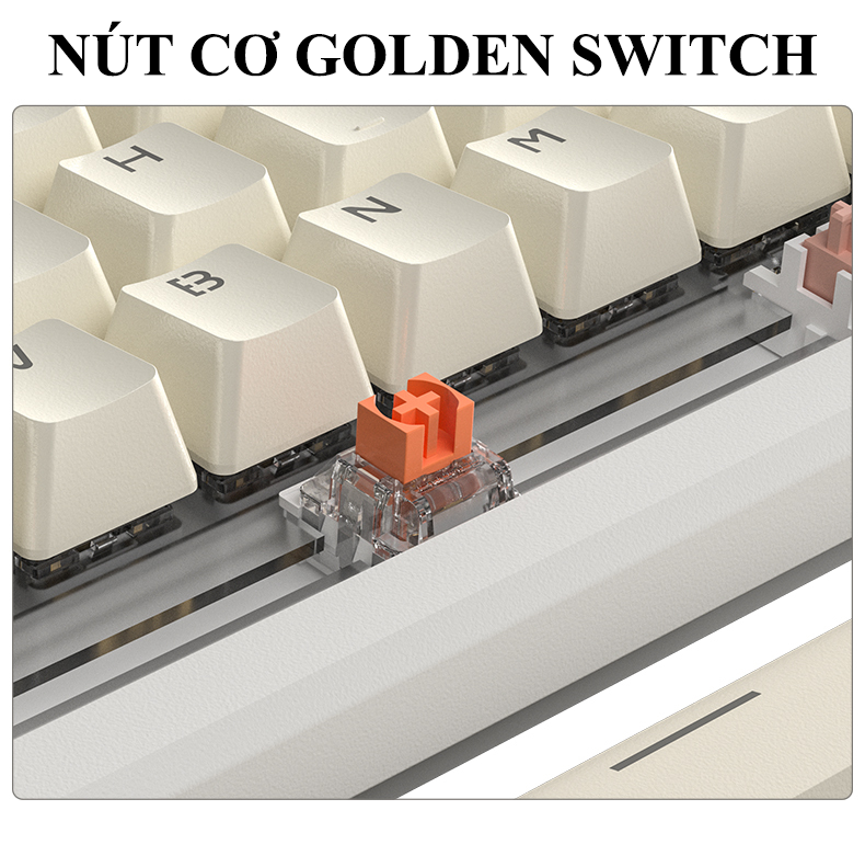 Bàn phím cơ Golden Switch LANGTU LT-84 kết nối có dây được trang bị màn hình led mini và nút vặn đa phương tiện kèm theo 19 chế độ đèn led - Hàng Chính Hãng