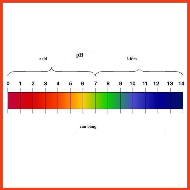 Giấy quỳ tím - Giấy quỳ thử độ ph