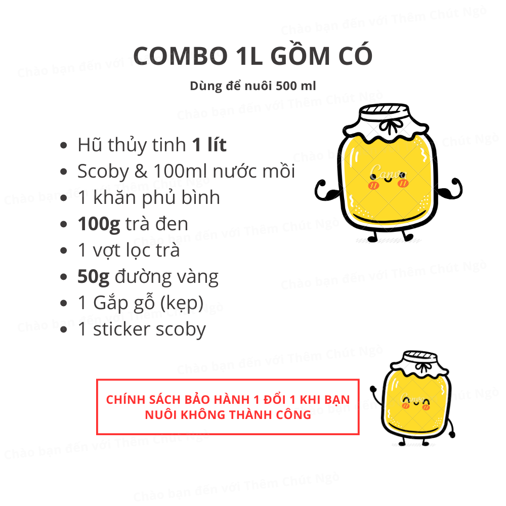 Combo Trà Kombucha 1L đầy đủ nguyên liệu nuôi Scoby làm trà Kombucha (dùng để làm 0,5 lít)