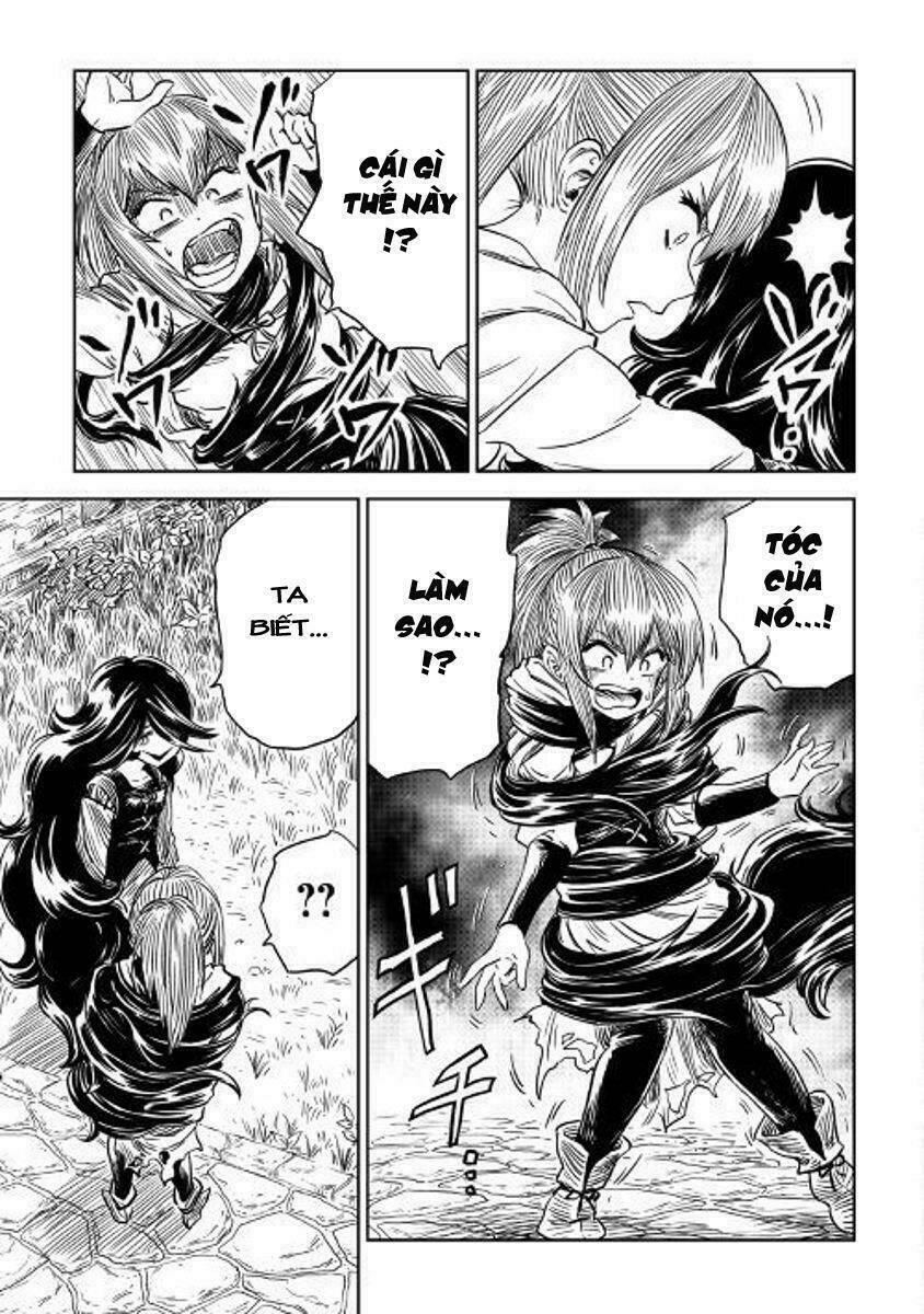 the witch's hammer - malleus maleficarum chapter 4 18