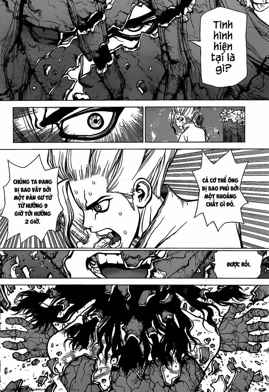 dr.stone - hồi sinh thế giới chapter 3 17